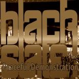 00-black_slate-peaceful_demonstration-web-2016.jpg