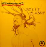 Bunny_Wailer_Rock_n_Groove_front.jpg